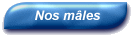 Nos mâles